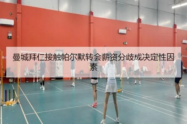 曼城拜仁接触帕尔默转会薪资分歧成决定性因素